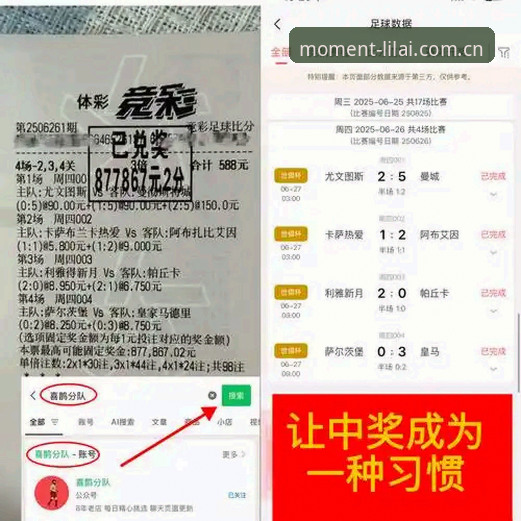 赛前分析专栏 vs APP实时数据：利来体育平台两种观赛方式，哪种更适合你？
